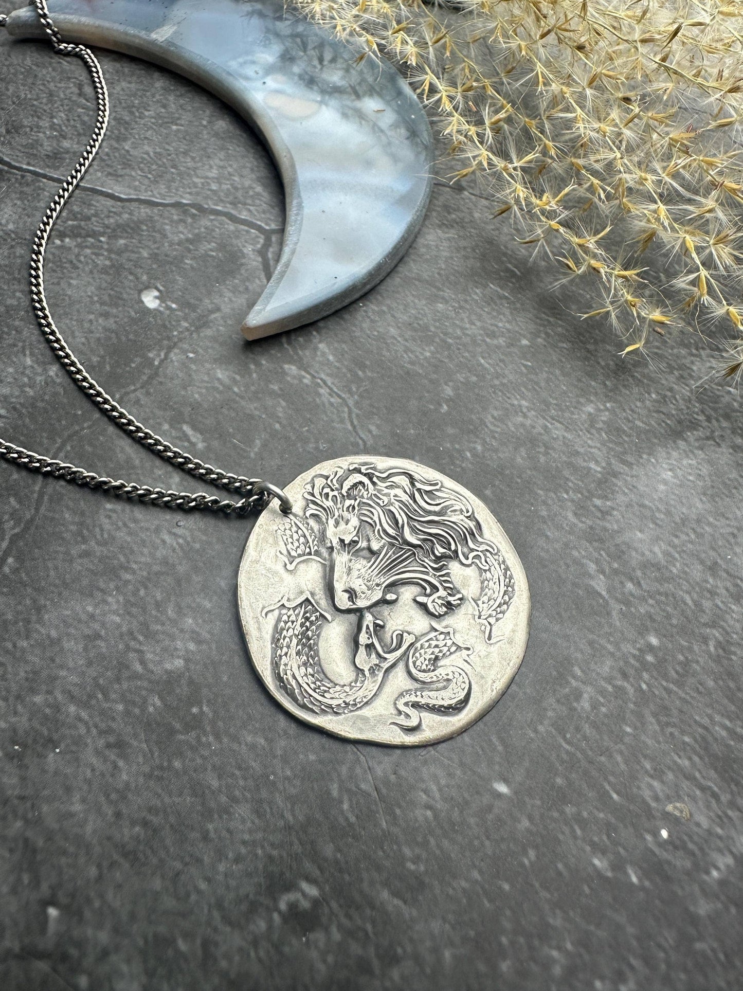 Lion & Snake Amulet Coin Medallion Necklace
